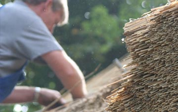 professional Broadwath thatchers